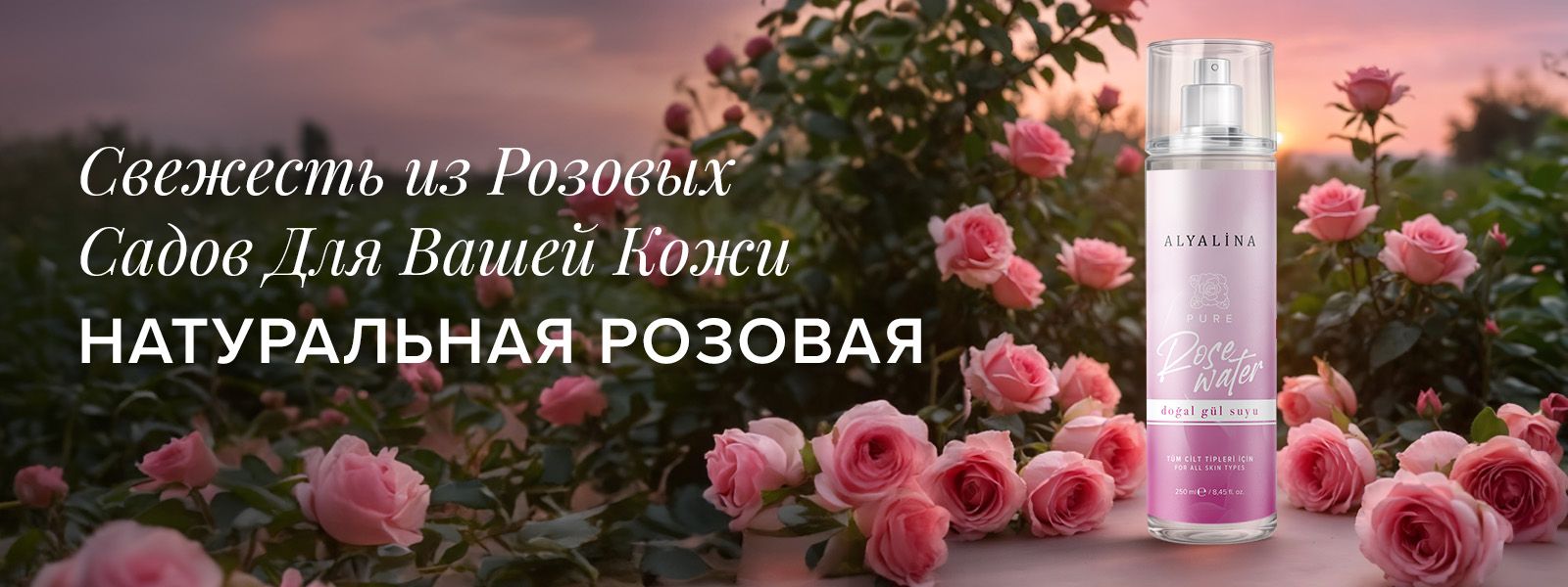 9947139adbd164c42cb559497913ddd2.jpg